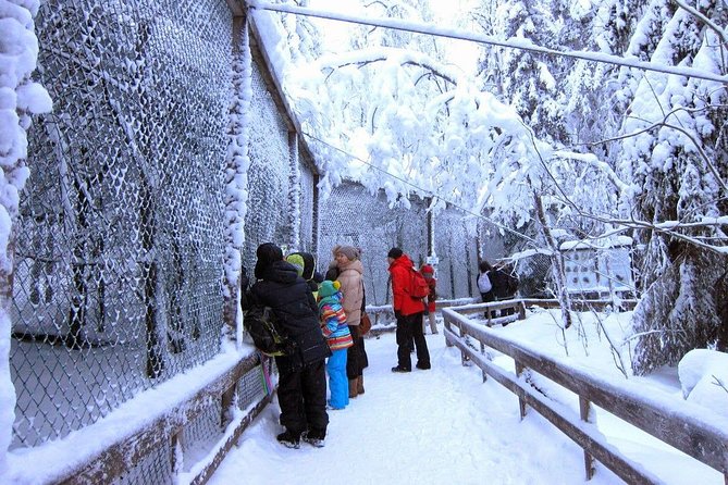 Private Guided Lapland Ranua Zoo Tour From Rovaniemi - Reviews