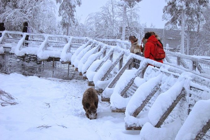 Private Guided Lapland Ranua Zoo Tour From Rovaniemi - Exploring the Ranua Zoo