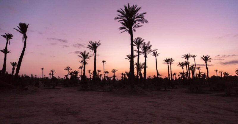 Private-Guided Moroccan Wonders: 6-Day Adventure-Desert - Itinerary Highlights