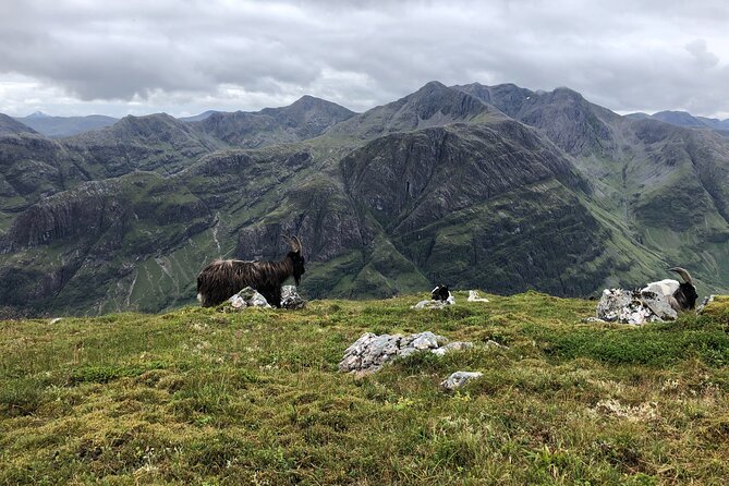 Private Guided Mountain Walking Experience in the Cairngorms - Meeting and Pickup Details