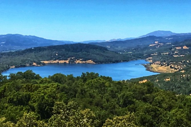 Private Guided Napa and Sonoma Wine Tour and Tasting - Customization Options