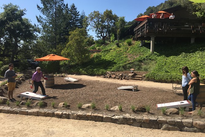Private Guided Napa and Sonoma Wine Tour and Tasting - Highlights of the Tour