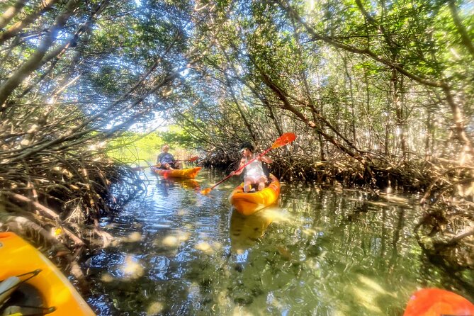 Private Guided Nautikayak Adventure via Mangrove to Shell Key - Highlights of the Tour
