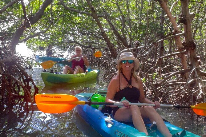 Private Guided Nautikayak Adventure via Mangrove to Shell Key - Wildlife and Ecosystem Exploration