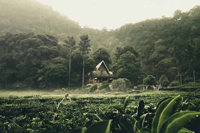 Private Guided Puncak Day Tour;Solo;Small Group - Inclusions and Exclusions