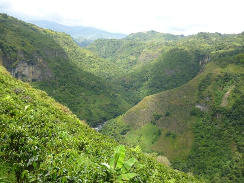 Private Guided Rafting on Magdalena River - Experience and Itinerary