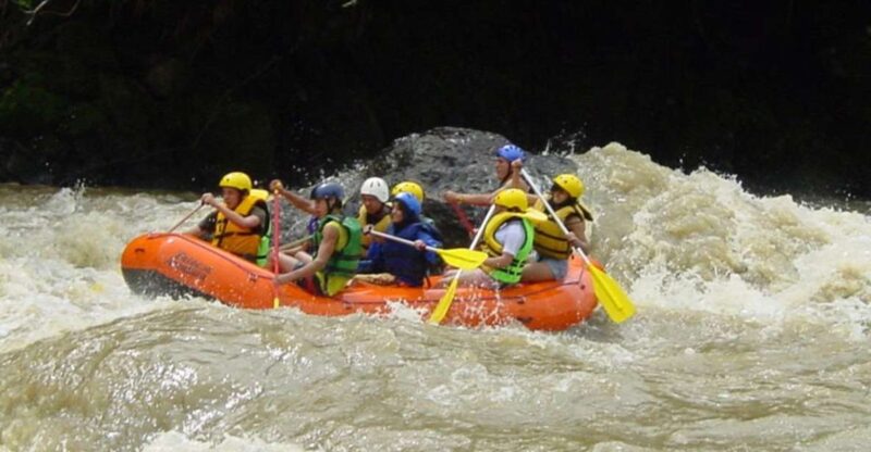 Private Guided Rafting on Magdalena River - Difficulty Levels and Customization