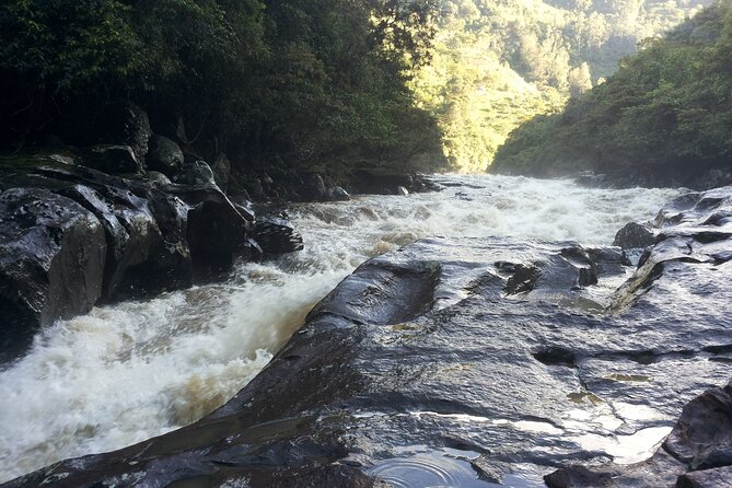 Private Guided Rafting on Magdalena River - Transportation and Pickup
