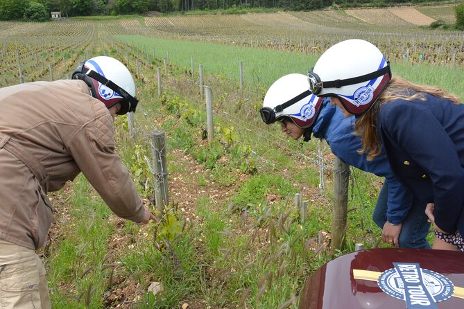 Private Guided Sidecar Tour in Burgundy From Meursault - Unique Countryside Experience