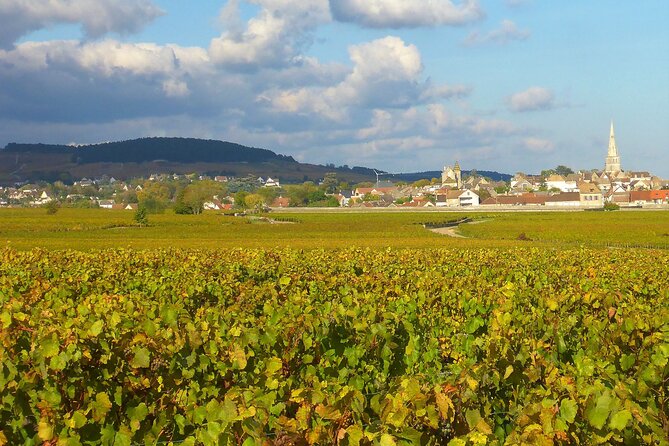 Private Guided Sidecar Tour in Burgundy From Meursault - Small Village Visits