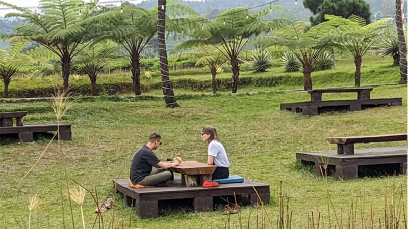 Private Guided Sightseeing Day Tour of Bandung - Customer Feedback