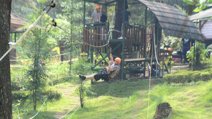 Private Guided Sightseeing Day Tour of Bandung - Transportation and Guide Services