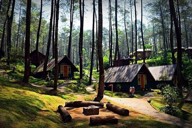 Private Guided Sightseeing Day Tour of Bandung - Customizable Tour Options