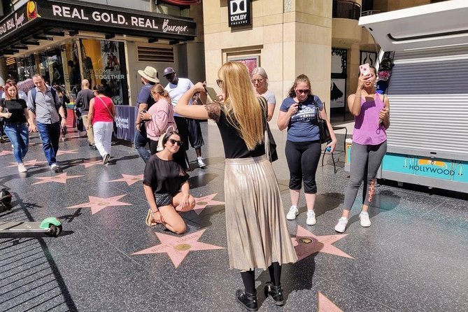 Private, Guided Sightseeing Tour of Los Angeles - Accessibility and Fitness Requirements