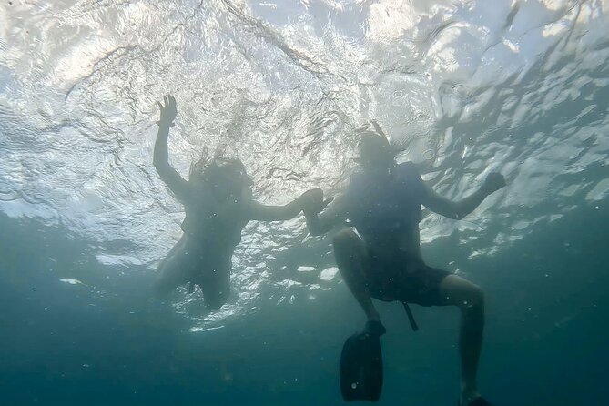 Private Guided Snorkel Tour of Fort Lauderdales Reef - Guided Exploration