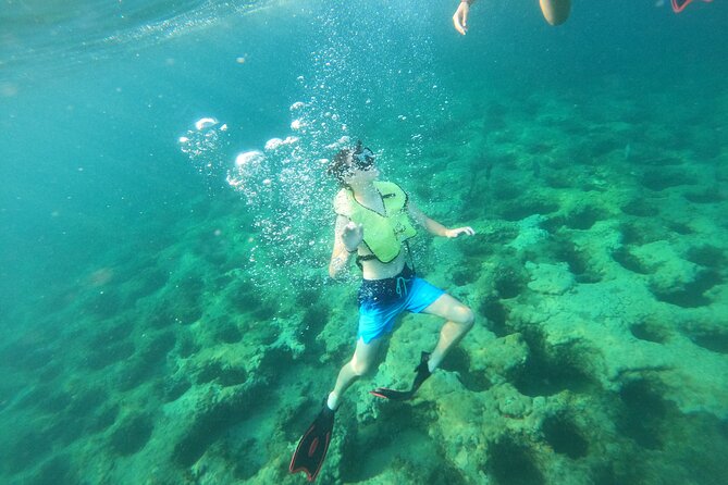 Private Guided Snorkel Tour of Fort Lauderdales Reef - Cancellation and Refund Policy