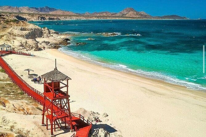 Private Guided Snorkeling Experience in Cabo Pulmo - Why Choose the Cabo Pulmo Snorkeling Experience?