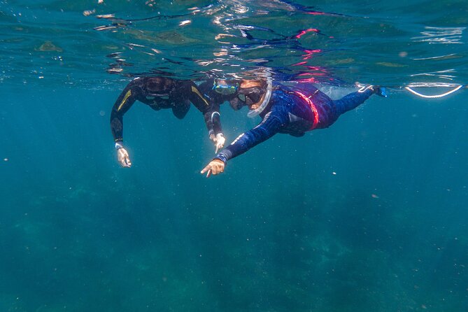Private Guided Snorkeling in Cabo San Lucas - Inclusions