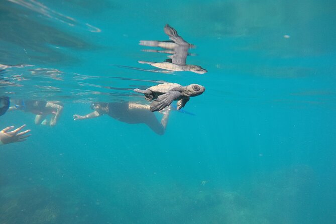 Private Guided Snorkeling in Cabo San Lucas - Booking and Cancellation Policy