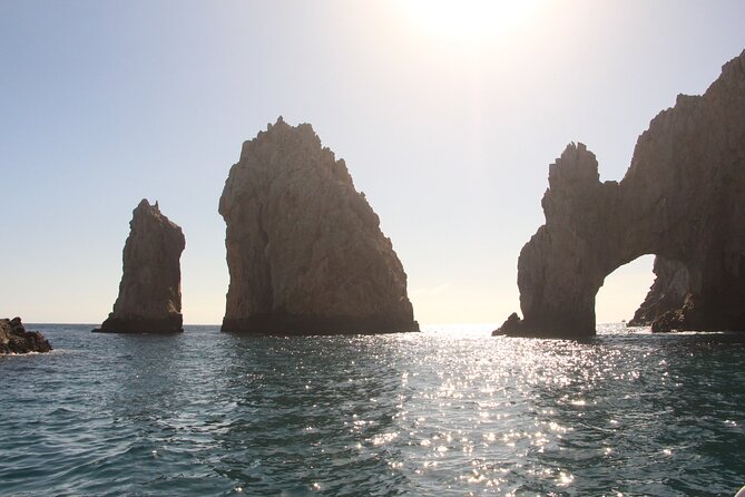 Private Guided Snorkeling in Cabo San Lucas - Qualified Dive Professionals