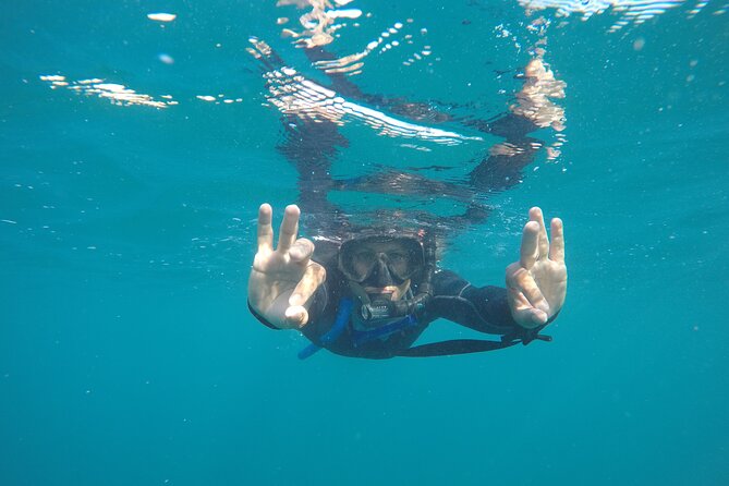 Private Guided Snorkeling in Cabo San Lucas - Environmentally Responsible Practices