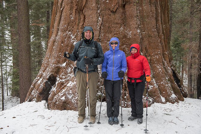 Private Guided Snowshoe Hike in Yosemite - Yosemites Winter Wonderland