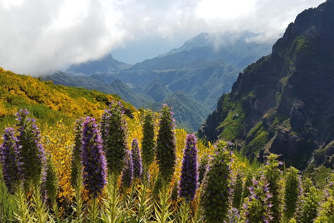 Private Guided Sunrise Pico Areeiro – Pico Ruivo Walk - Cancellation Policy