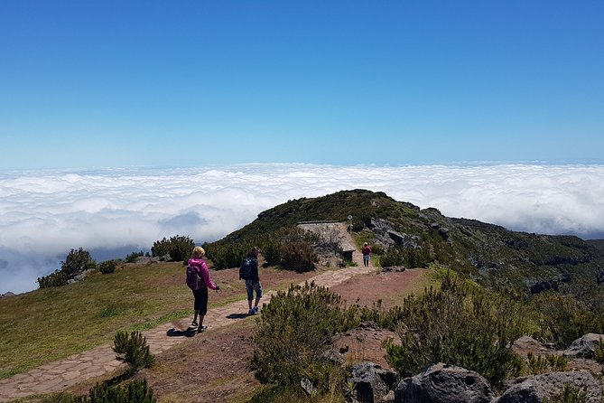 Private Guided Sunrise Pico Areeiro – Pico Ruivo Walk - Guest Reviews