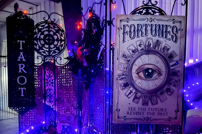 Private Guided Tarot Tour in St. Augustine - Accessibility and Participation