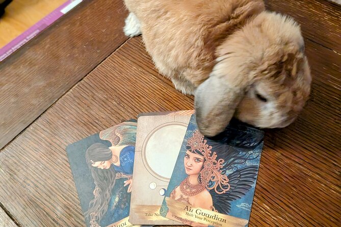 Private Guided Tarot Tour in St. Augustine - Why Choose a Private Guided Tour