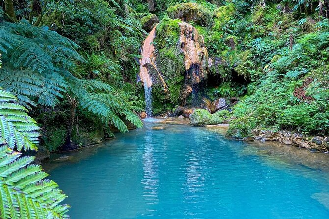 Private Guided Tour and Thermal Baths in São Miguel - Key Points