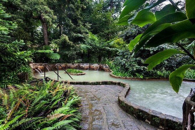 Private Guided Tour and Thermal Baths in São Miguel - Unique Tour Experience