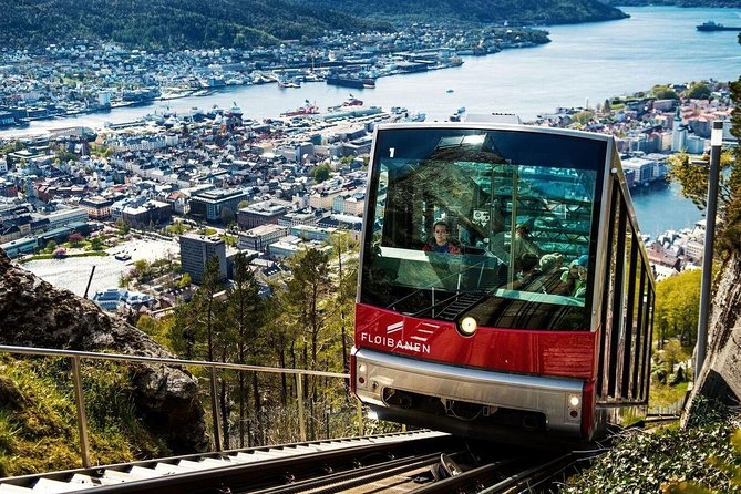 Private Guided Tour - Bergen City Sightseeing - Top Attractions - Key Attractions: Bergenhus Fortress