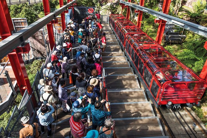 Private Guided Tour: Blue Mountains Tour From Sydney - Customer Reviews and Ratings