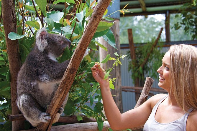 Private Guided Tour: Blue Mountains Tour From Sydney - Guide Performance and Experience