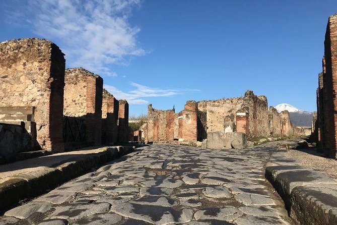 Private Guided Tour. Experience the Everyday Life of the Eternal Town of Pompeii - Meeting and Logistics