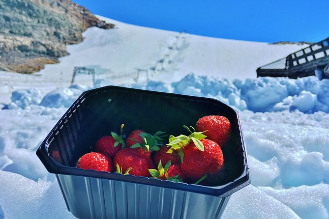 PRIVATE GUIDED TOUR: Folgefonna Glacier Roundtrip From Bergen, 8 Hours - Pricing and Reviews