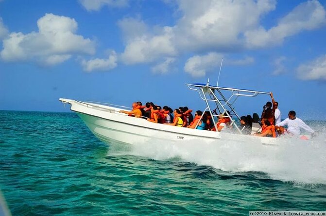 Private Guided Tour From Bávaro to Isla Saona by Speedboat Minimum 12 Pax - About Your Stay