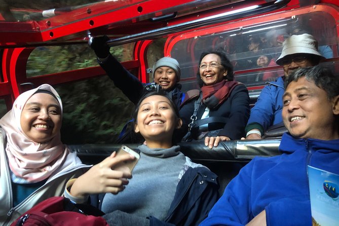 Private Guided Tour From Sydney to Blue Mountains National Park - Tour Logistics