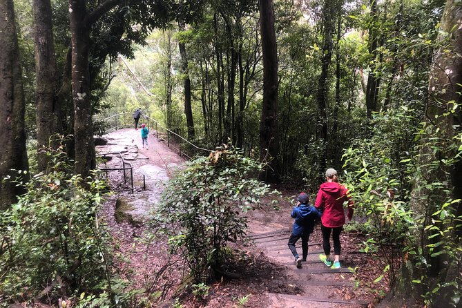 Private Guided Tour From Sydney to Blue Mountains National Park - Reviews and Pricing