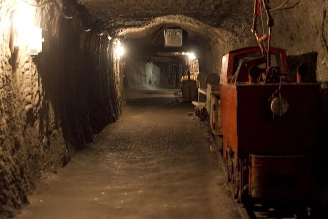 Private Guided Tour From Vienna to Hallstatt With Skywalk & Salt Mine Experience - Practical Information