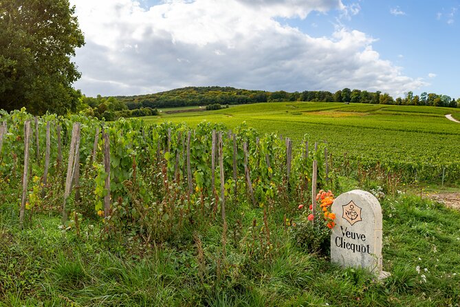 Private Guided Tour in Champagne From Paris, Veuve Clicquot Visit - Reviews and Ratings