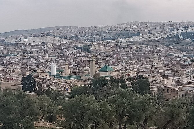 Private Guided Tour in Fez - Cancellation Policy