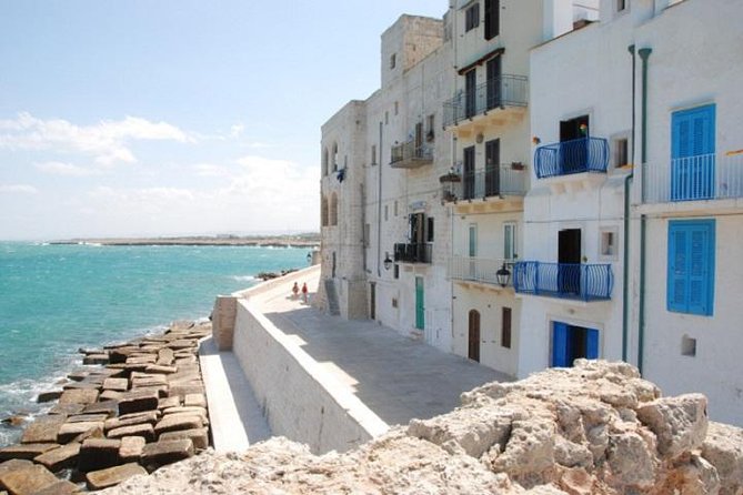 Private Guided Tour in Monopoli: Walking Through the Old Town - Price and Booking