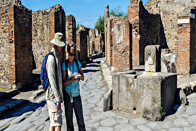 Private Guided Tour in Pompeii - Meeting and End Points