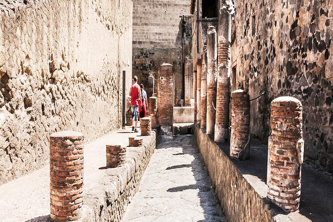 Private Guided Tour in Pompeii - Tour Features