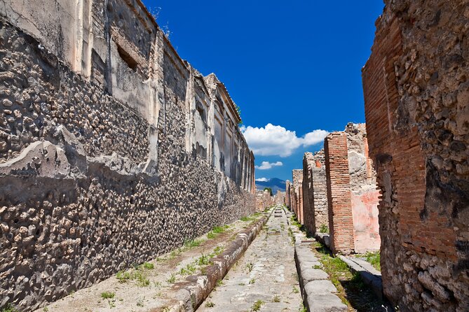 Private Guided Tour in Pompeii - Pick-up Options