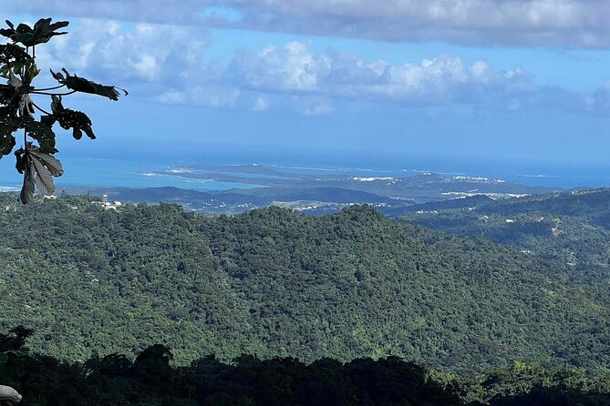 Private Guided Tour in Puerto Rico - About Your Stay