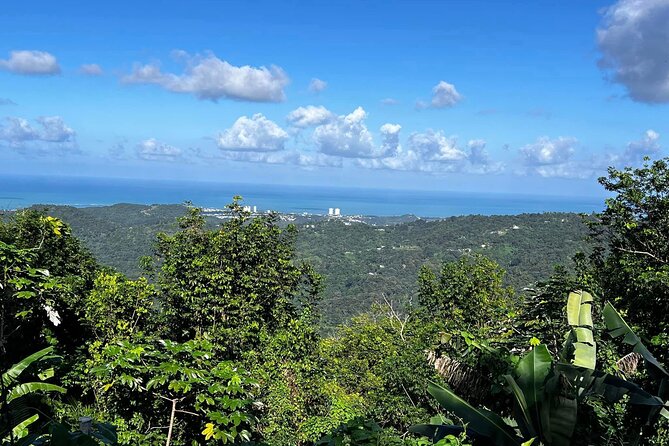 Private Guided Tour in Puerto Rico - Pickup Information