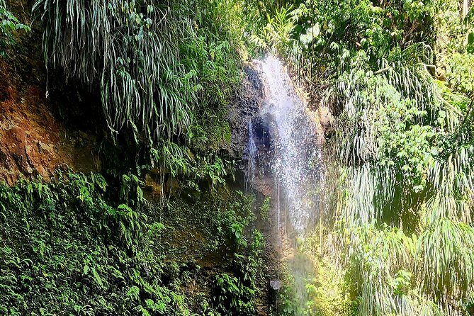 Private Guided Tour in Soufriere with Transfers and Lunch - Key Points